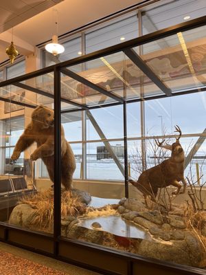 Ted Stevens Anchorage International Airport by null