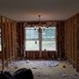 Mold Air Care