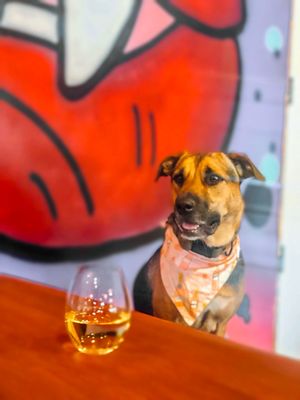 The Infinite Monkey Theorem by null