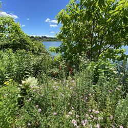 Silver Lake