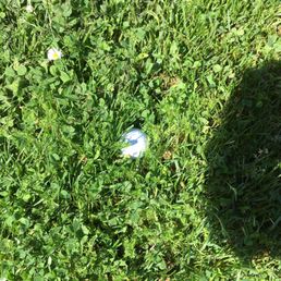 In the middle of the fairway!! In the middle of the fairway!!