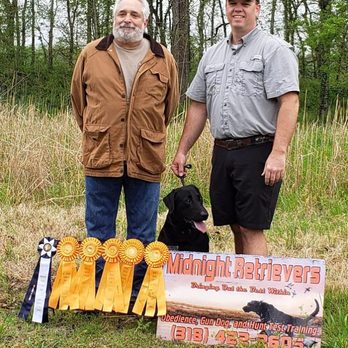 Midnight Retrievers - Pet Training Near Me - Shreveport, Louisiana Midnight Retrievers - Pet Training Near Me - Shreveport, Louisiana