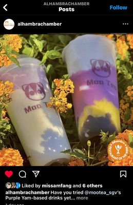 Moo Tea by null