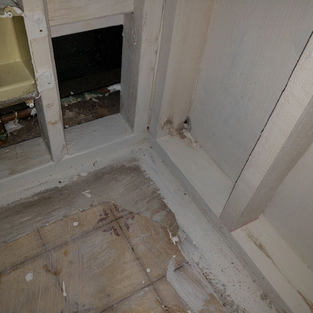 Realty Wealth Advisors - Their version of mold remediation - Property Management Near Me - Indianapolis, Indiana Realty Wealth Advisors - Their version of mold remediation - Property Management Near Me - Indianapolis, Indiana