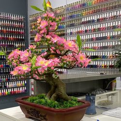 V Nails & Spa