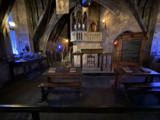 Harry Potter and the Forbidden Journey by null