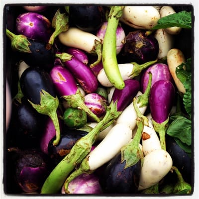 SFC Farmers' Market Downtown by null