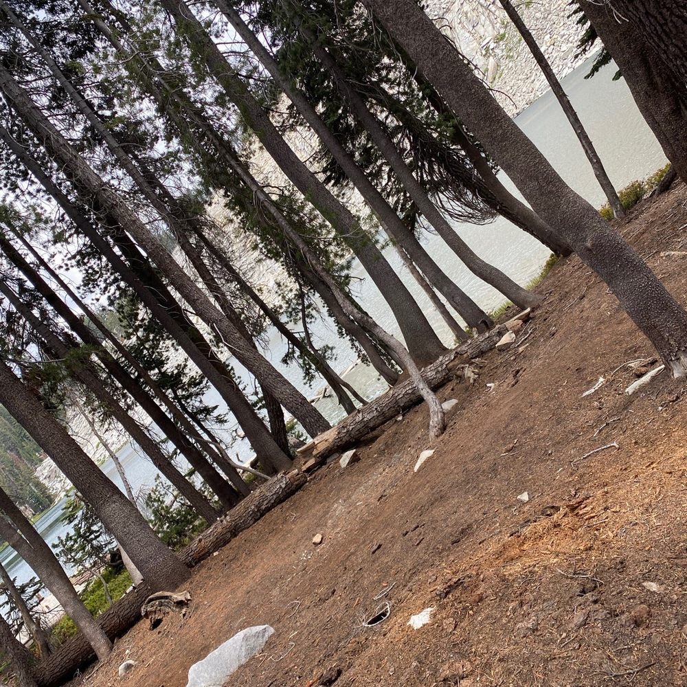 Jennie Lake - Campground at lake - Swimming Pools Near Me - Dunlap, California