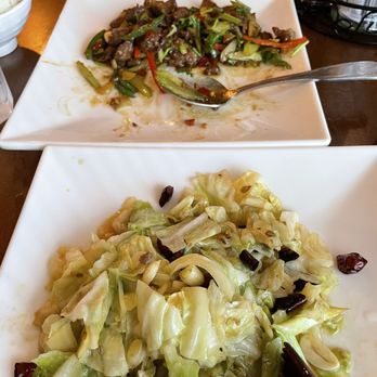 Trendy Dumpling - Beef and cabbage dishes - Noodles Near Me - Houston, Texas Trendy Dumpling - Beef and cabbage dishes - Noodles Near Me - Houston, Texas