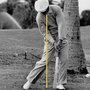 Photo of Lloyd Higley Golf Instruction Chicago