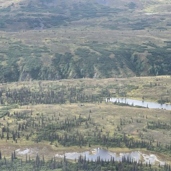 Fly Denali - Aerial Tours Near Me