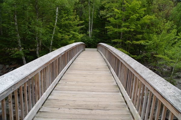 Rocky Gorge Scenic Area by null