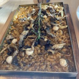 Arroz Con Setas Arroz Con Setas
