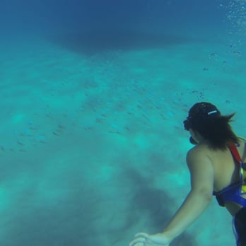 Hawaii China Tours - Fish Fish! - Tours Near Me - Honolulu, Hawaii Hawaii China Tours - Fish Fish! - Tours Near Me - Honolulu, Hawaii