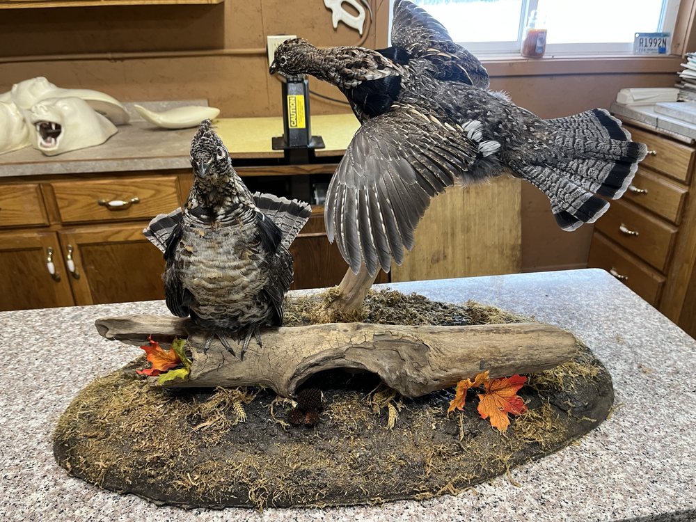 Majestic Wildlife Taxidermy - taxidermy in Isanti, MN