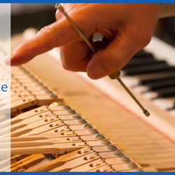Knox Pianos - Wayne's Piano Service
