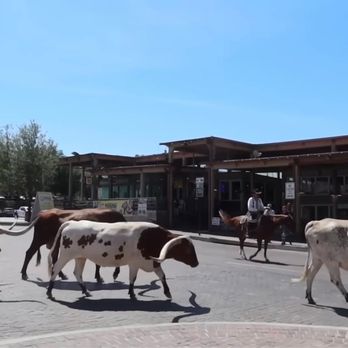 The Stockyards - Local Flavor Near Me - Fort Worth, Texas The Stockyards - Local Flavor Near Me - Fort Worth, Texas