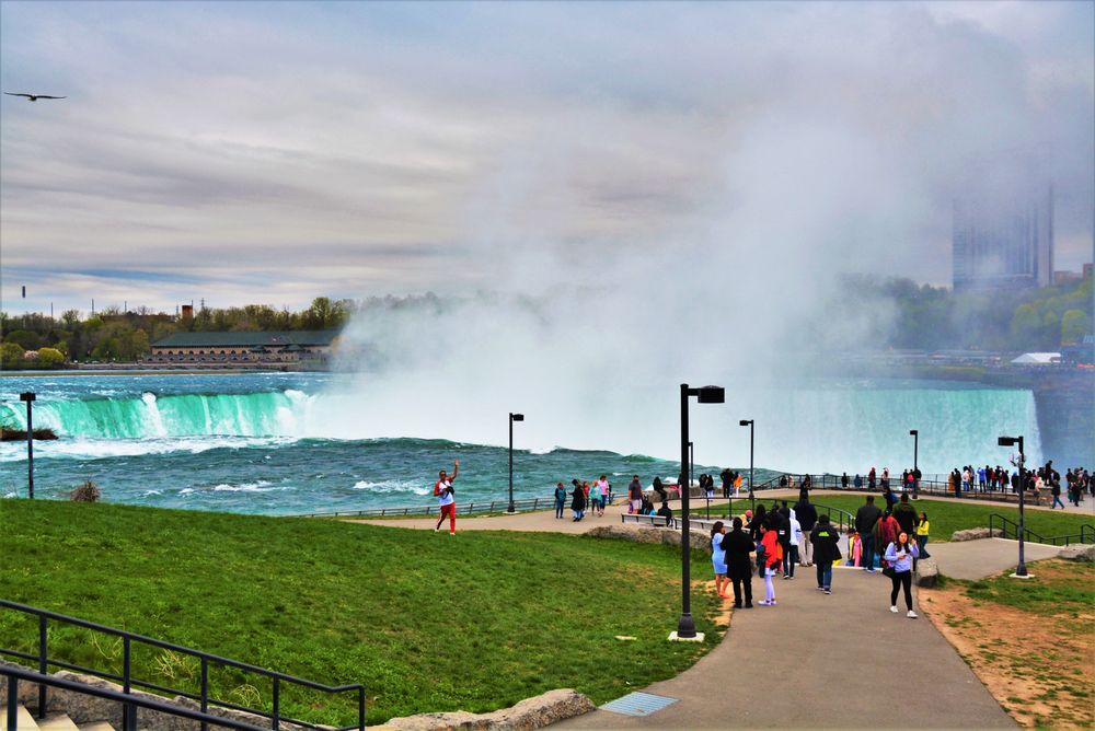 Terrapin Point- Niagara Falls Logo