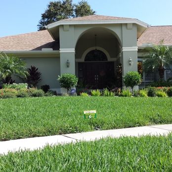Green Land Pest Control - Pest Control Near Me - Trinity, Florida Green Land Pest Control - Pest Control Near Me - Trinity, Florida