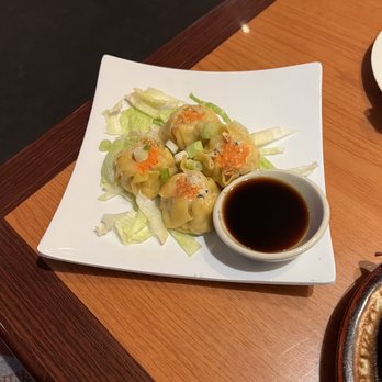 The Elephant - Geneva - thai dumplings - Thai Near Me - Geneva, New York
