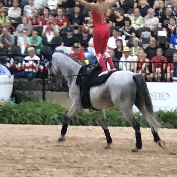 Tryon International Equestrian Center - Absolutely wonderful vaulting event! - Stadiums & Arenas Near Me - Mill Spring, North Carolina Tryon International Equestrian Center - Absolutely wonderful vaulting event! - Stadiums & Arenas Near Me - Mill Spring, North Carolina