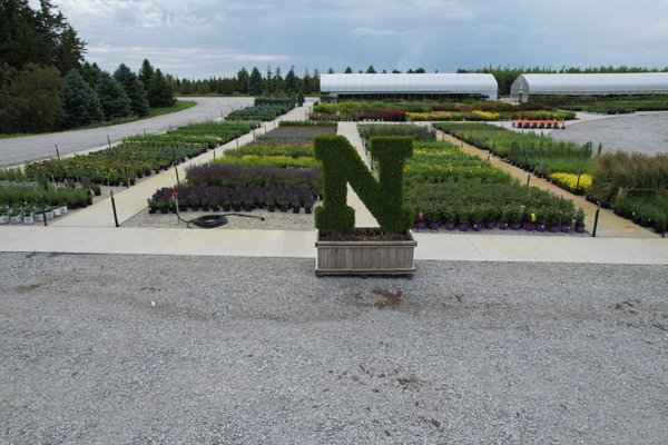 Kaspar Nursery