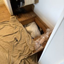 Kevin fitting into small places. Kevin fitting into small places.