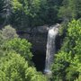 Foster Falls