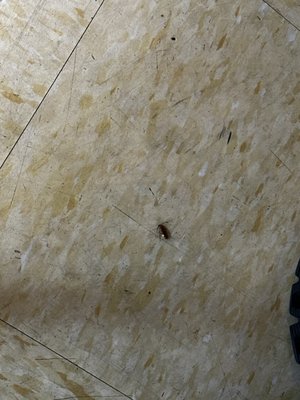 Paraiso Filipino Native Foods by null