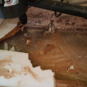 American Mold Services - CS # 2 --Pic # 1(visible mold growth under kitchen sink) - Damage Restoration Near Me - San Diego, California American Mold Services - CS # 2 --Pic # 1(visible mold growth under kitchen sink) - Damage Restoration Near Me - San Diego, California