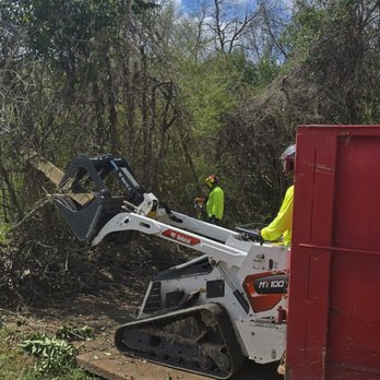 Southern Removal - Tree Services Near Me - Flowood, Mississippi Southern Removal - Tree Services Near Me - Flowood, Mississippi