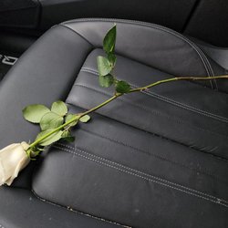 Karizma Threading Salon - Complimentary rose they gave for Valentines Day! So thoughtful!