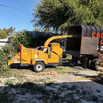 C&C Tree Solutions - Workers - Tree Services Near Me C&C Tree Solutions - Workers - Tree Services Near Me