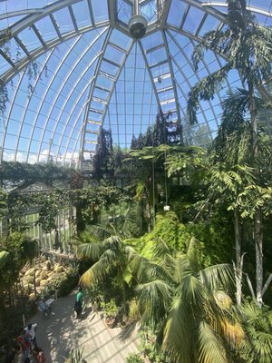 Conservatoire et Jardin botaniques de Genève by null