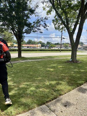 M & M Landscaping And Tree Trimming