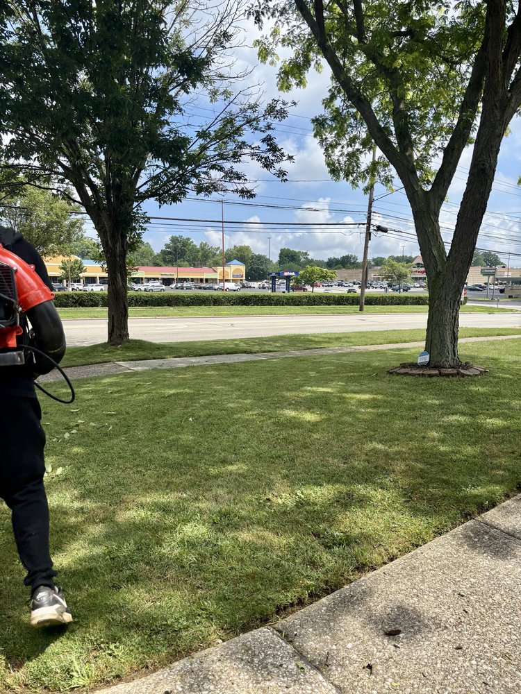 M & M Landscaping And Tree Trimming - tree service in Brooklyn, OH