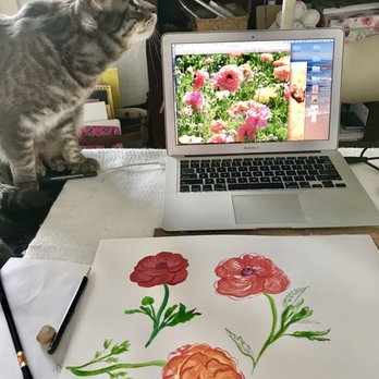 The Flower Fields - Draw from the inspirations - Venues & Event Spaces Near Me - Carlsbad, California The Flower Fields - Draw from the inspirations - Venues & Event Spaces Near Me - Carlsbad, California