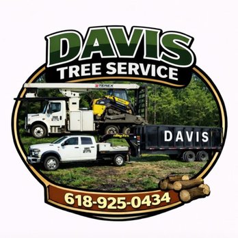 Davis Tree Service - New logo - Tree Services Near Me - Thompsonville, Illinois Davis Tree Service - New logo - Tree Services Near Me - Thompsonville, Illinois