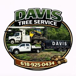 Davis Tree Service - New logo