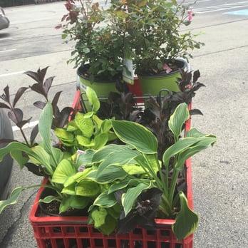 Lowe's Home Improvement - Landscaping! - Hardware Stores Near Me - Munhall, Pennsylvania