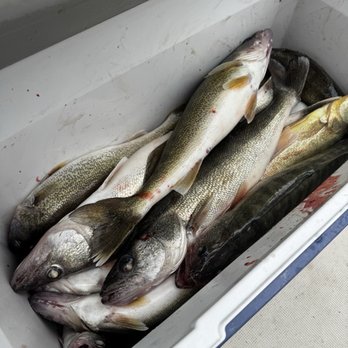 Net Dreams Fishing Charters - Net dreams!! - Boat Charters Near Me - Monroe, Michigan Net Dreams Fishing Charters - Net dreams!! - Boat Charters Near Me - Monroe, Michigan