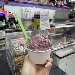 Kennedy’s Ice Cream Bar - Black Raspberry Chip Frozen Yogurt