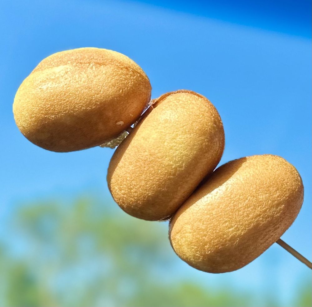 BF Bakery & Cafe gift card