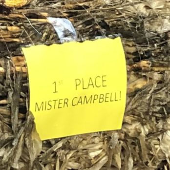 Sniders Super Foods - a pile of corn - Grocery Near Me - Silver Spring, Maryland