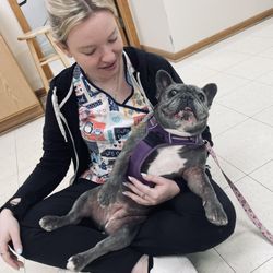 Hickory Creek Animal Hospital