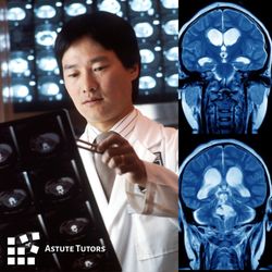 Research suggests that 8 weeks of 1-on-1 tutoring leads to neuroplasticity and improves working memory, attention, and problem solving.