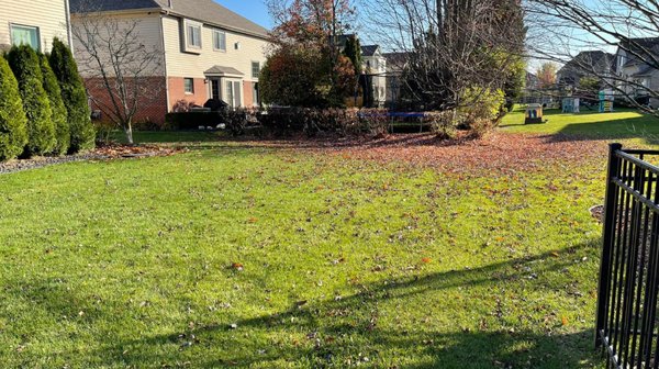 Fall Cleanups - Tired of leaves taking over your yard? In these cleanups we raked and removed the leaves and branches that had fallen in the yard, making the space feel bigger than it did before. Call today for a free estimate! Fall Cleanups - Tired of leaves taking over your yard? In these cleanups we raked and removed the leaves and branches that had fallen in the yard, making the space feel bigger than it did before. Call today for a free estimate!