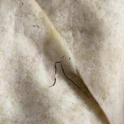 Arby's - Pieces of what seems to be plastic all over the wrap, especially the area it's been sliced