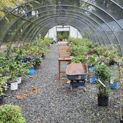 Dearness Gardens