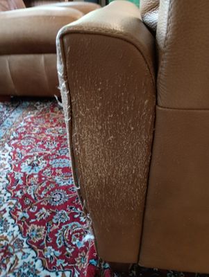 Seattle Gaslight Inn by null